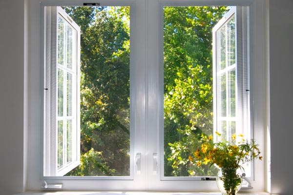 Casement Windows